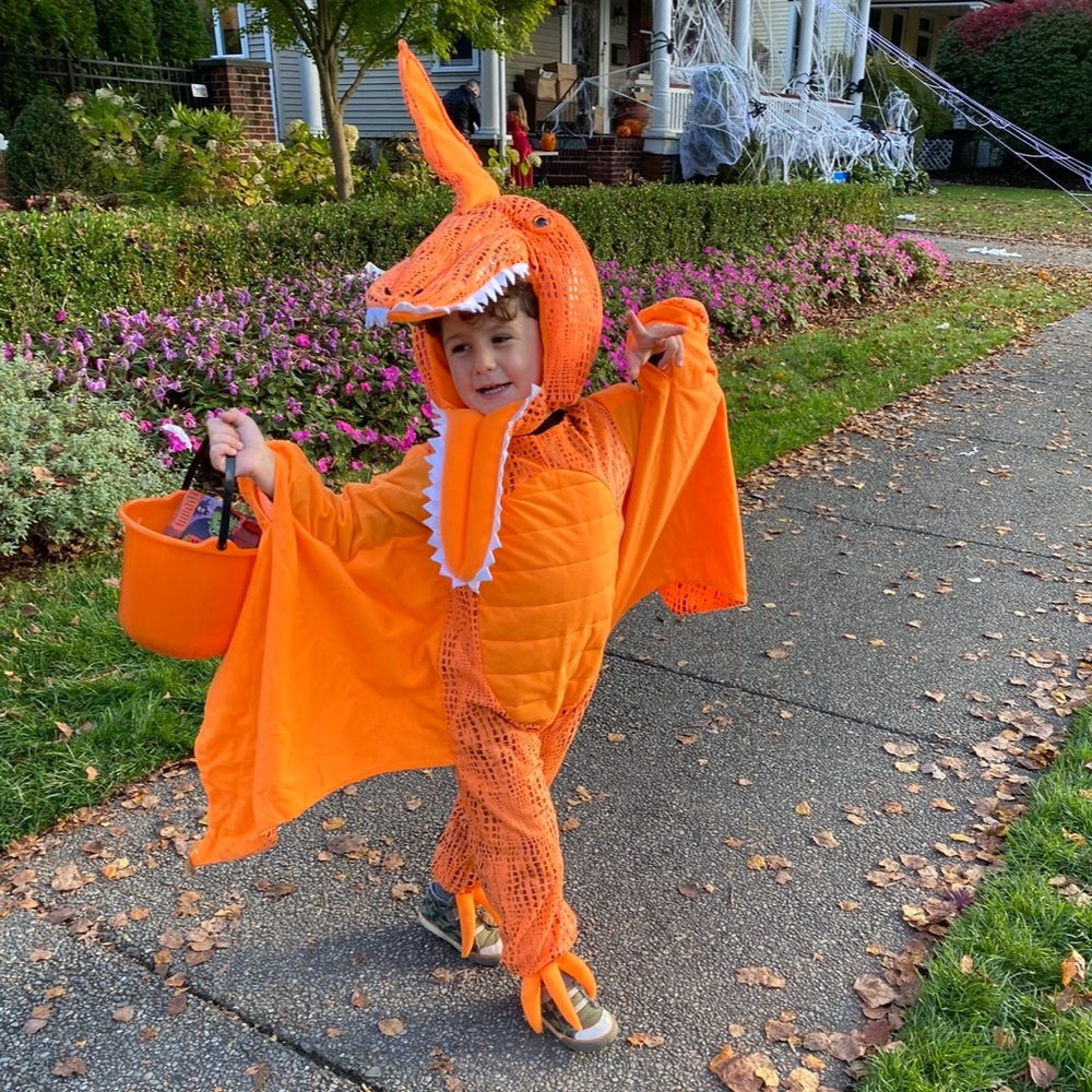 Pottery Barn Kids Pterodactyl Halloween Costume Size 4-6